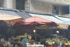'Vựa hoa tươi' lớn nhất TPHCM trước thềm 20/10