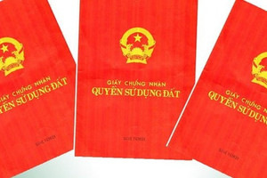 Từ bây giờ, người dân chuyển nhượng đất khi chưa có sổ đỏ sẽ bị phạt rất nặng