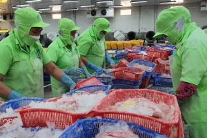 Xuất hiện thị trường trọng điểm mới của cá tra Việt