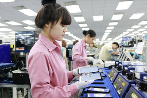 Chuyên gia: Việt Nam mới chiếm 1,4% trong thị trường nhập khẩu 2.600 tỷ USD của EU