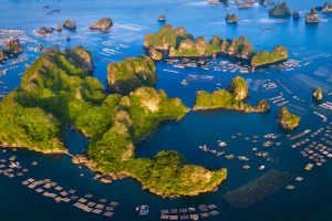 Quảng Ninh xây dựng cơ chế đặc thù cho Vân Đồn
