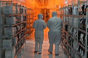 Công ty chip vô danh trở thành nạn nhân của thương chiến, có thể khiến ngành ô tô toàn cầu tê liệt