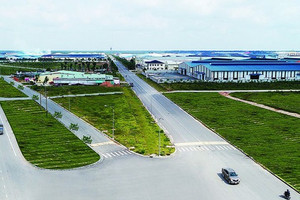 Pha lội ngược dòng của NTC trước thềm chuyển sàn và cú chạy đà cho BĐS công nghiệp