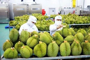 Trung Quốc ra quy định mới về nhập khẩu nông sản, doanh nghiệp Việt cần chú ý