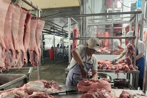Loạn giá thịt lợn