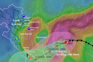 Bão hướng vào Đà Nẵng – Quảng Ngãi, mưa lớn từ đêm mai
