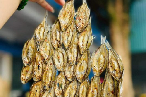 Loại cá tên lạ xưa có đầy không ai biết, nay hóa đặc sản đắt đỏ, dân thành phố săn lùng 300.000 đồng/kg