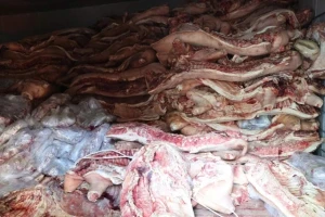 Bất chấp vì lợi nhuận, chủ lò mổ găm 38 tấn thịt nhiễm dịch tả lợn châu Phi chờ bán
