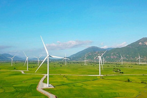 Tỉnh lớn thứ 2 Việt Nam sắp có thêm 3 nhà máy điện gió, quy mô gần 19.400 tỷ