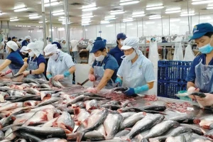 Báo cáo Thủ tướng 'hàng rào' thuế gây khó doanh nghiệp