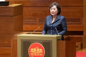 Đề xuất cho phép tổ chức bảo hiểm tiền gửi vay đặc biệt với lãi suất 0%