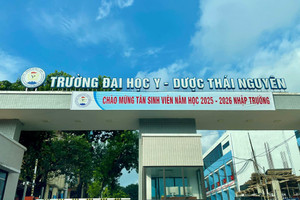 Sáp nhập 2 trường cao đẳng vào 2 trường đại học