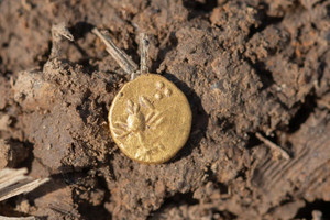 Phát hiện kho báu chứa 500 đồng tiền vàng, 80 món đồ trang sức trên cánh đồng