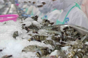 Trung Quốc, Mỹ mê mẩn một 'mặt hàng vàng' của Việt Nam: 9 tháng thu hơn 3,4 tỷ USD, Nhật Bản – Hàn Quốc cũng đua nhau đặt mua