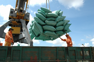 'Hạt vàng' của Việt Nam chiếm lĩnh hơn 1/4 thị phần nhập khẩu tại Singapore, 9 tháng đầu năm thu về gần 70 triệu USD