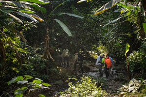 ‘Kho báu’ 500 tuổi nằm giữa Vườn Quốc gia nổi tiếng của Việt Nam sắp mở cửa đón khách