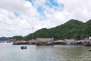 Công an thông báo tìm bị hại của Phó Giám đốc Nguyễn Văn Nam