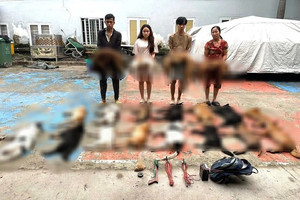 Bắt giữ khẩn cấp chủ lò mổ Phạm Thị Liên