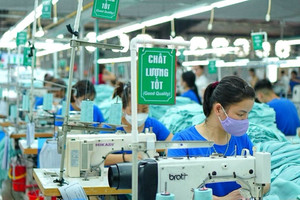 Công ty liên kết của TNG giải thể sau khi giảm vốn từ 300 tỷ xuống còn 60 triệu đồng