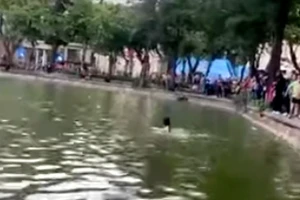 Thông tin chính thức về vụ người phụ nữ tử vong tại hồ Gươm