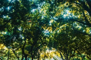 Miền Bắc tăng nhiệt mạnh, miền Trung vẫn mưa như trút