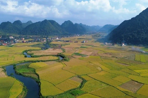 Việt Nam có ngôi làng 'tốt nhất thế giới': Cách Thủ đô khoảng 150km, 450 ngôi nhà đều sở hữu một điểm độc nhất vô nhị