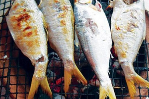 Loài cá được mệnh danh 'vua cá sông Hậu': Quý hiếm, có tiền cũng khó mua