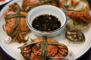 'Vàng ròng dưới đáy hồ' đang tan chảy: Loài động vật quý hiếm của Trung Quốc đang 'kiệt sức' trong mùa hè nóng nhất 64 năm