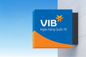 VIB đạt lợi nhuận 9 tháng hơn 7.040 tỷ đồng, tăng 7%, chi trả 21% cổ tức 2025