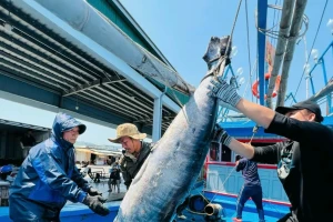 Gỡ thẻ vàng thủy sản: 'Chúng ta không còn chỗ cho sai sót'