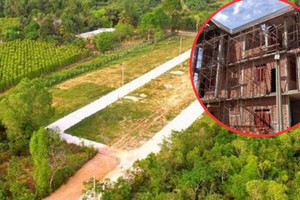 Kể từ nay, đáp ứng điều kiện này mới được phép chuyển đổi đất trồng cây lâu năm sang đất ở