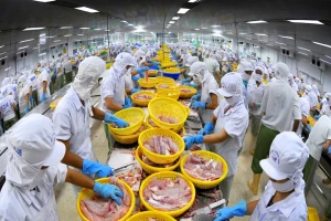 Luật Thuế giá trị gia tăng vừa thi hành đã phát sinh 'điểm nghẽn'