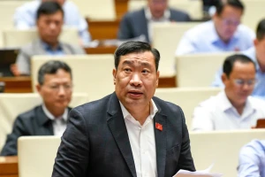 Đại biểu Quốc hội 'hiến kế' huy động nguồn lực ngoại tệ và vàng trong dân