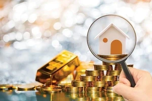 Nhà tăng phi mã, vàng loạn giá: Đại biểu Quốc hội nói gì?
