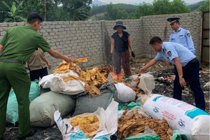 Tiêu hủy 150 kg măng khô không rõ nguồn gốc