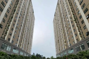 Bộ Xây dựng: Giá nhà đất đang bị chi phối bởi đầu cơ, tâm lý đám đông