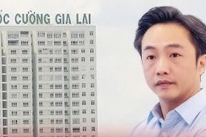 Quốc Cường Gia Lai đã trả nợ 1.100 tỷ đồng cho Trương Mỹ Lan, 2 cá nhân đứng sau 'bơm vốn'