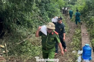 Khẩn trương gia cố đê sông Gò Chàm bị sụt lún, rò rỉ nước