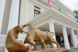 VN-Index tăng hơn 400 điểm, Sở Giao dịch Chứng khoán Việt Nam (VNX) lãi 2.100 tỷ sau 9 tháng