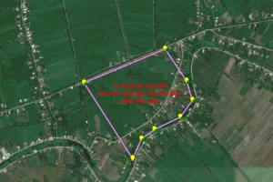 Đề xuất 2 dự án điện tái tạo hơn 9.000 tỷ đồng ở Cần Thơ