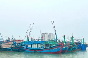 Khánh Hòa cấm tàu thuyền, khẩn cấp điều tiết hồ chứa đối phó bão Kalmaegi