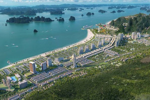 Doanh thu bất động sản chững lại, CEO Group vẫn tăng lãi nhờ tối ưu chi phí