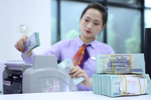 Hơn 250 tỷ USD vốn đầu tư mỗi năm sẽ đến từ khu vực trong nước: Cơ hội vàng cho ngân hàng và tư nhân