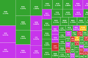 Khối ngoại mua ròng gần 1.200 tỷ trong phiên thị trường 'xanh tím', cổ phiếu vừa chiết khấu 30% được gom mạnh
