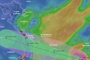 Bão tác động từng tỉnh/thành miền Trung như thế nào?