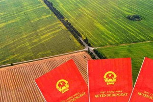 Từ giờ, đất giao không đúng thẩm quyền vẫn có thể cấp sổ đỏ