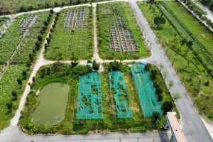 Hà Nội giao hơn 17ha đất để xây nhà liền kề và nhà ở xã hội