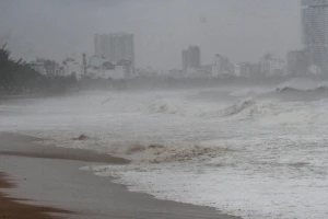 TPHCM kích hoạt ứng phó khẩn cấp bão số 13