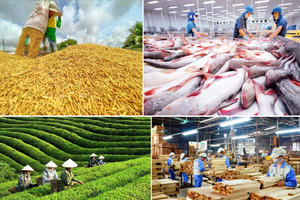 Giữa mùa mưa bão, thủy sản trở thành động lực tăng trưởng chính trong sản xuất nông nghiệp 10 tháng đầu năm