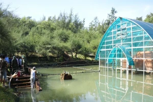 Tháp Chăm nghìn năm tuổi tại Huế ngâm nước nhiều ngày: Xử lí thế nào?